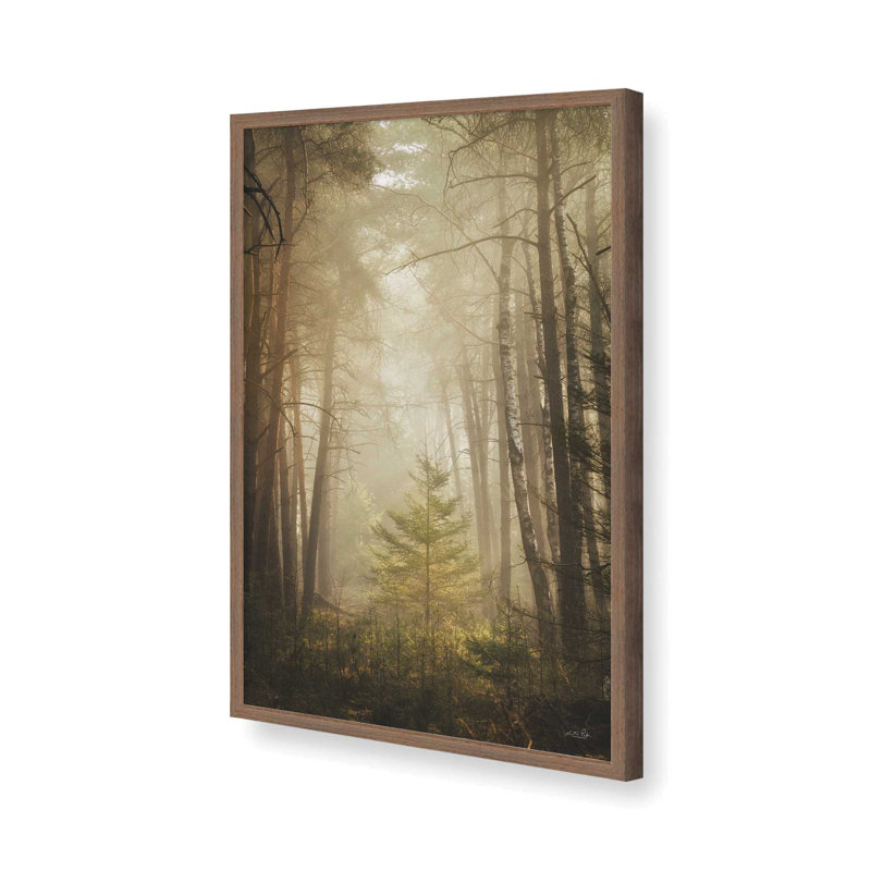«The Little Things» par Martin Podt, reproduction d'art, 20 W x 30 H, Brown, Framed Print