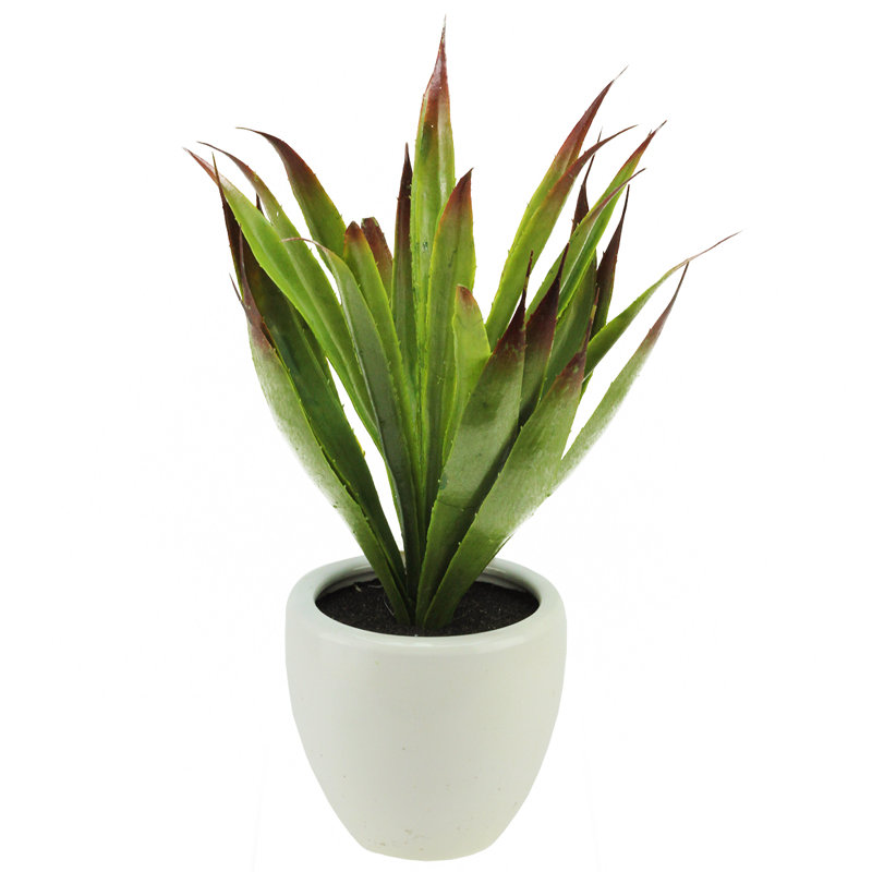 Plante grasse artificielle en pot 13,5 po verte et rouge