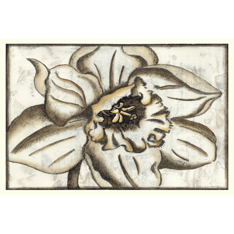 Fresco Flowerhead V by Nancy Slocum - Wrapped Canvas Painting, 30cm H x 46cm W x 3.8cm D