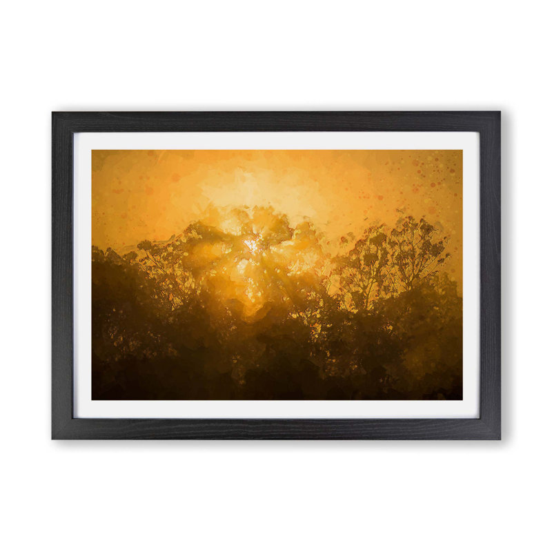 Light Through the Trees in Sri Lanka - Framed Print, Black, 24cm H x 33cm W x 2cm D