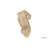 10 in. H x 4.5 in. W x 5 in. D Solid Wood Bracket / Corbel