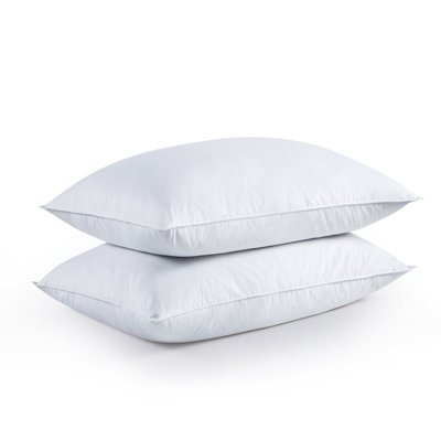 Plush Feather Pillow