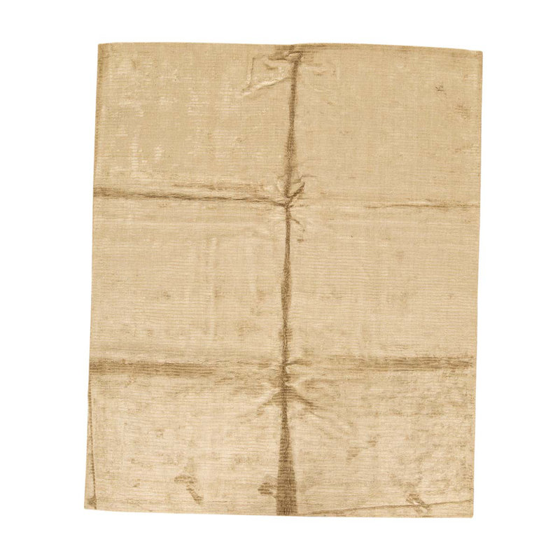 Area Rug in Beige