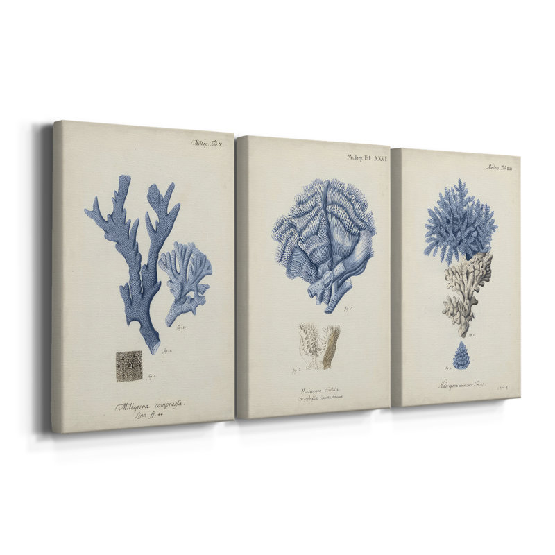 Indigo Botany Study I - Toile tendue avec châssis sur mesure - 3 pièces, H 27 po x l 54 po