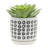S/2 5/6" Aztec Planter W/ Saucer