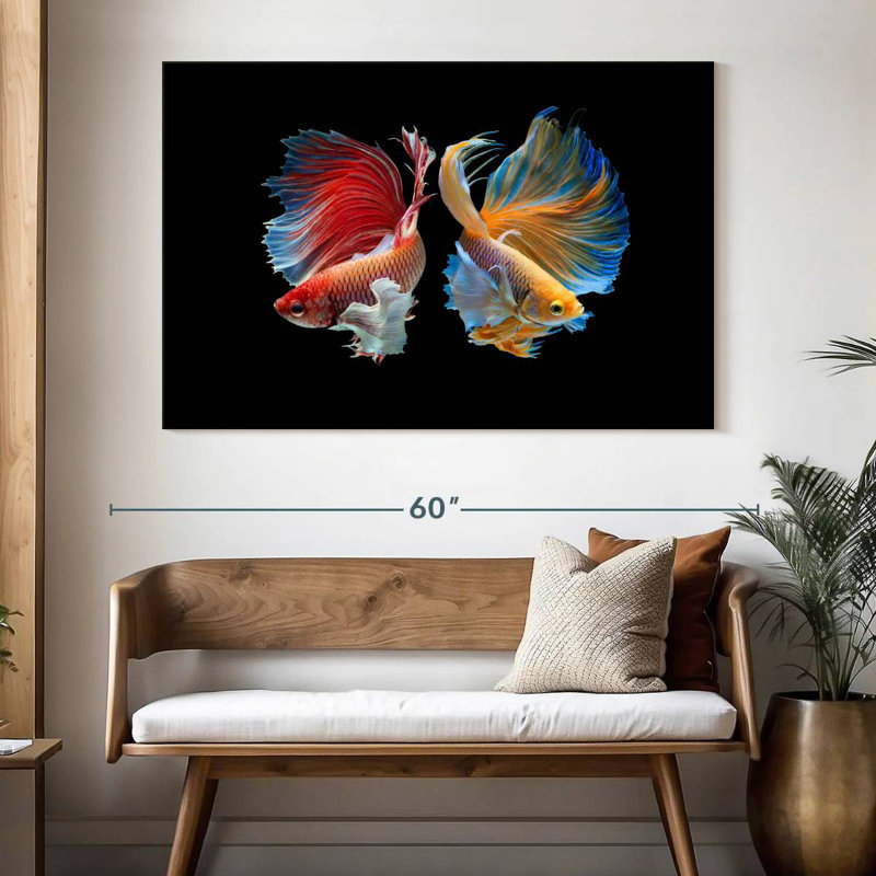 Betta Fish In Sync, H 34 po x l 51 po