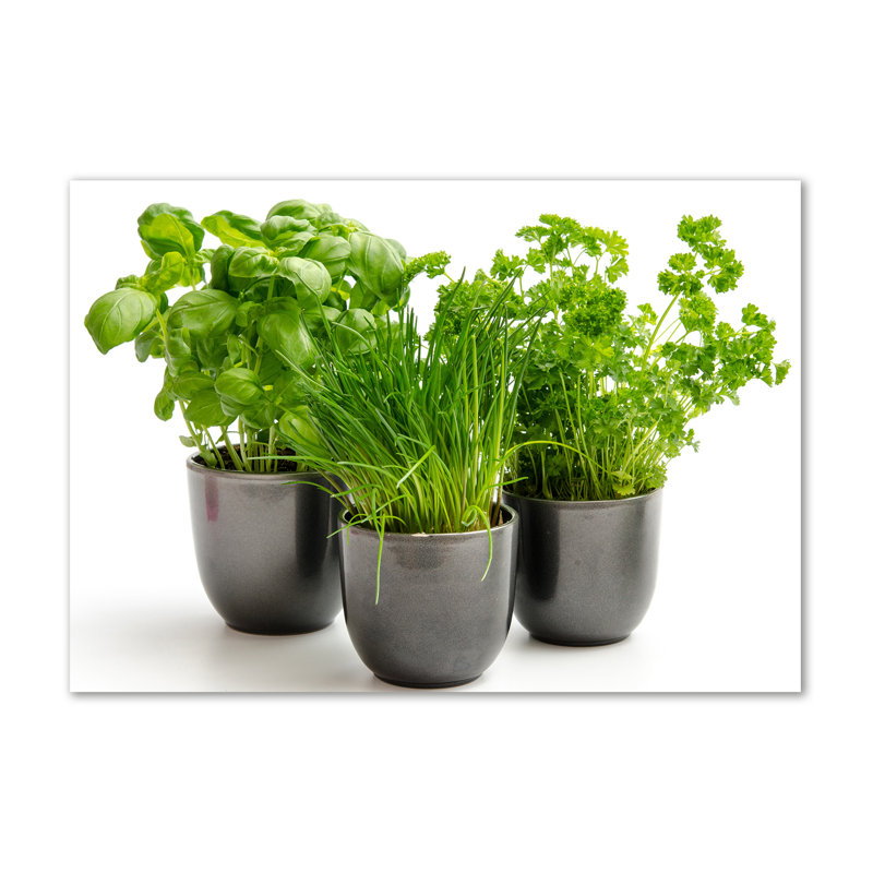 Herbs In Pots - Wrapped Canvas Print