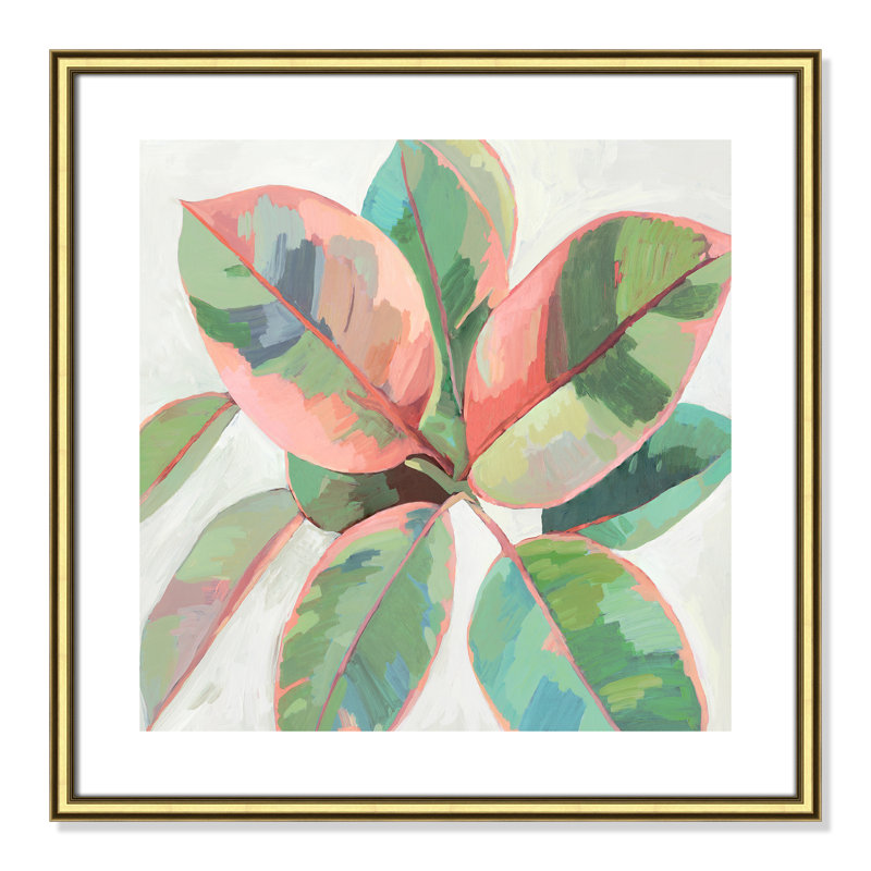 «Pink Ficus II», reproduction d'art, Papier encadré doré, H 24,75 po x l 24,75 po x P 0,88 po