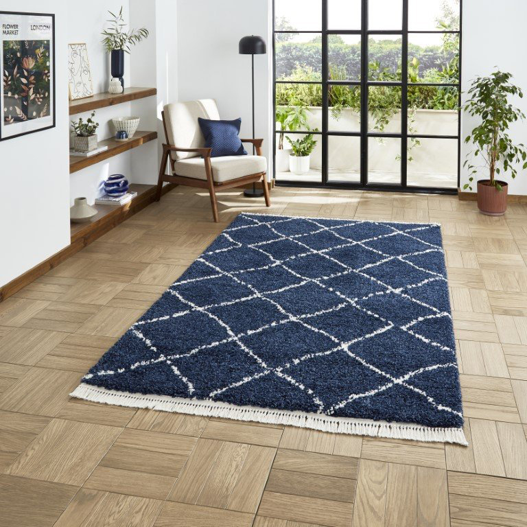 Pechler area rug Machine Woven Navy, Rectangle 80 x 150cm