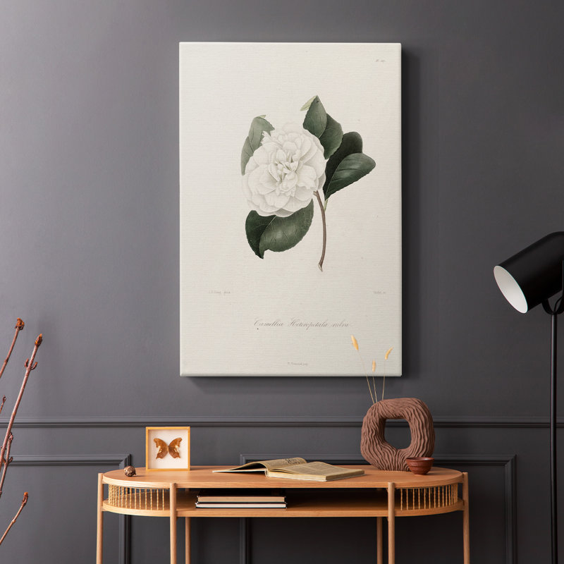 Motif floral rétro CLxxxi - galerie Cavas, H 12 po x l 8 po