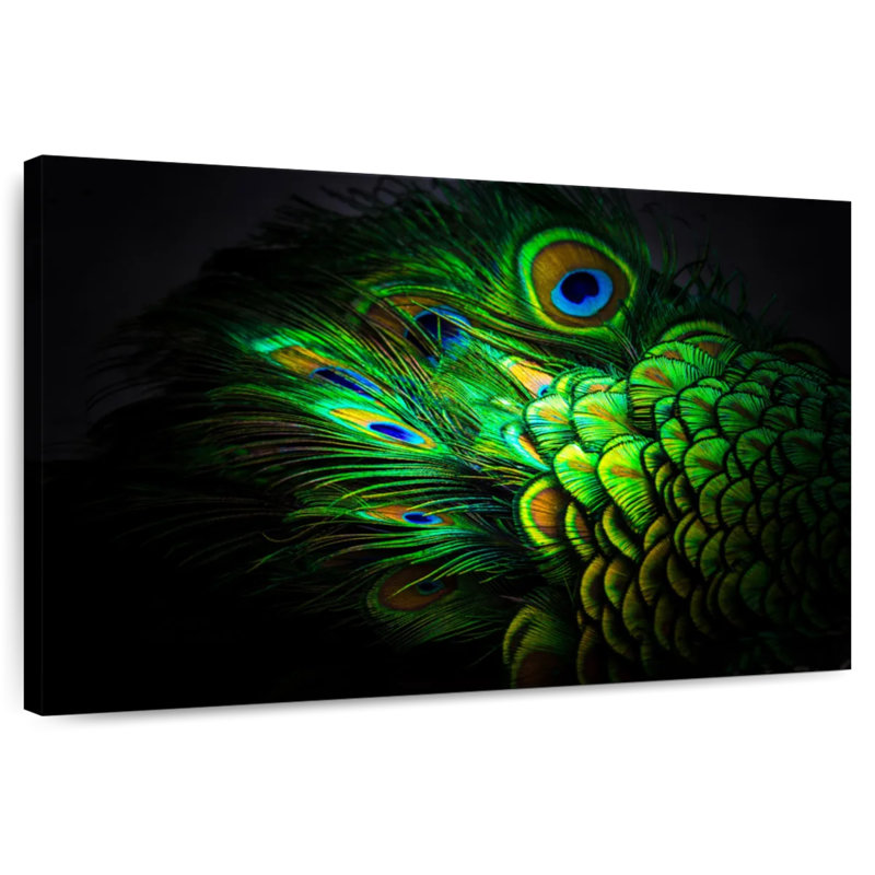 Emerald Peacock Feather, 34" H x 51" W