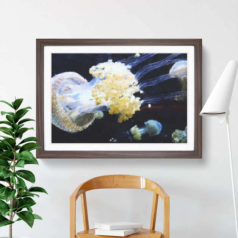 Jellyfish Vol.3 - Picture Frame Painting, Walnut, 36cm H x 48cm W x 2cm D