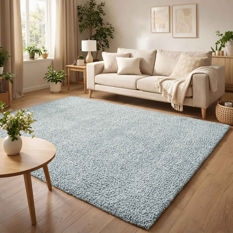 Ainsley Plain Living Room Shaggy Area Rug Modern Soft Pile Polyester Rug, Rectangle 80 x 150 cm, Duck Egg