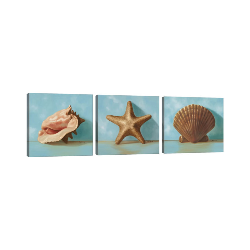 Shells Triptych - Canvas Wall Art Set - Wrapped Canvas (Set of 3)