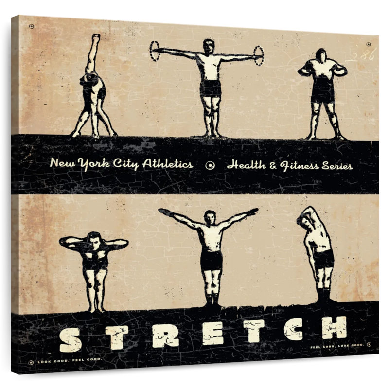 Sirci Stretch I, H 16 po x l 16 po