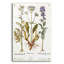 Art mural en verre acrylique épique «Valeriana» par Art Licensing Studio, 24 po x 36 po-188124685