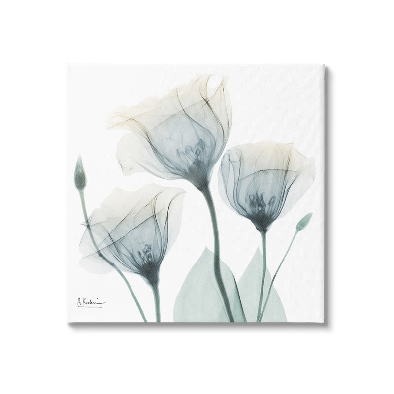 «Soft Soft Opaque Tulips» par Albert Koetsier, H 36 po x l 36 po