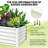 Galvanized Steel Raised Garden Bed Kit – Heavy-Duty 6x3x1.5FT Rectangular Outdoor Planter Box for Vegetables, Flowers, Herbs (White, 2-Pack)-1925343719-1925343707-1925343704