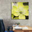 «Yellow Blossom» par PhotoINC Studio-816870739