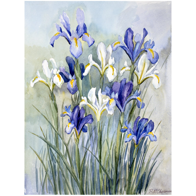 Fereol Double Sided Polyester, 15" H  x 11" W