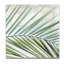 Palm View II - reproduction d'art sur toile-35608729-33348963