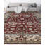 Wool Oriental Area Rug