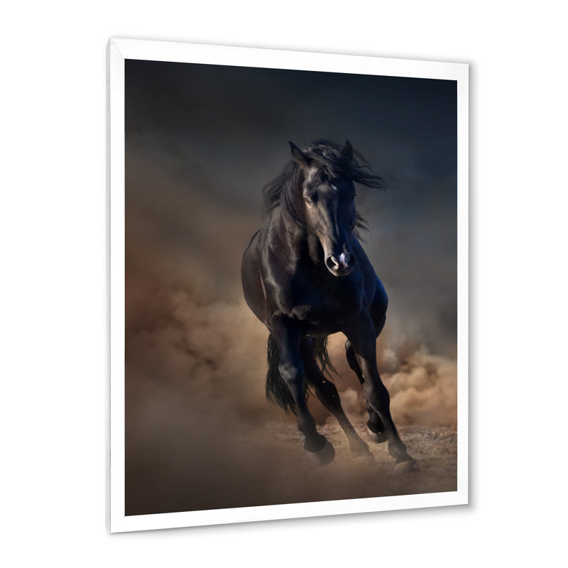 Portrait d'un cheval étalon Purius I - impression maison de campagne, H 40 po x l 30 po x 1,5 po, Cadre blanc