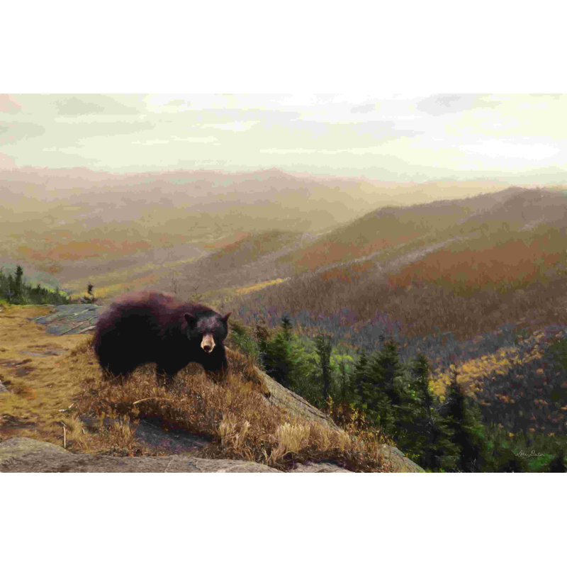Bear Country by Lori Deiter - Wrapped Canvas Photograph, 8" H x 12" W