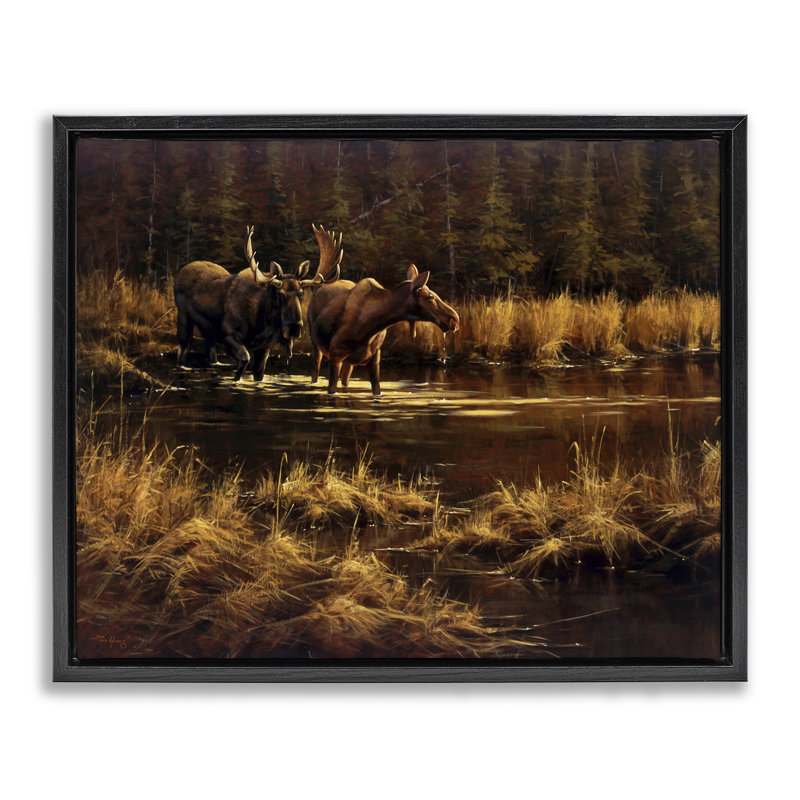 Cadre flottant Moose pair at Stream, conception de Paco Young, Cadre flottant noir de jais, H 17 po x l 21 po