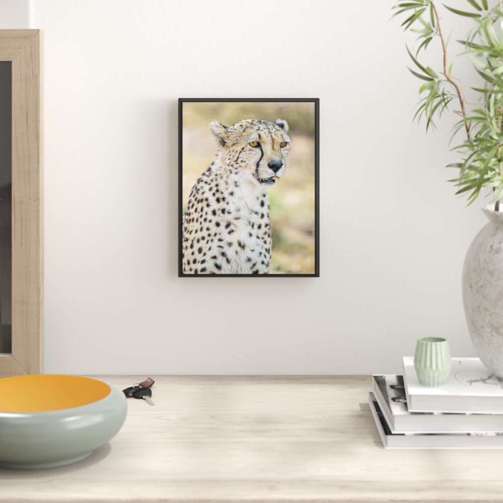 Gerahmtes Wandbild ausgewachsener Gepard