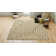 Neace Contemporary Classic Tan Area Rug
