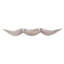 Assiette décorative Wilner