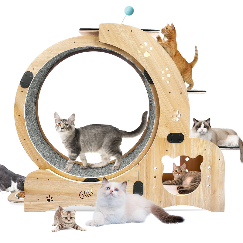 Outil de jeu pour chat d'intérieur amélioré - Améliore l'expérience de jeu du chat pour la construction en bois et le fonctionnement silencieux du chat