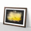 Seagull Flying Over The Beach - Picture Frame Graphic Art-56876841-56876843