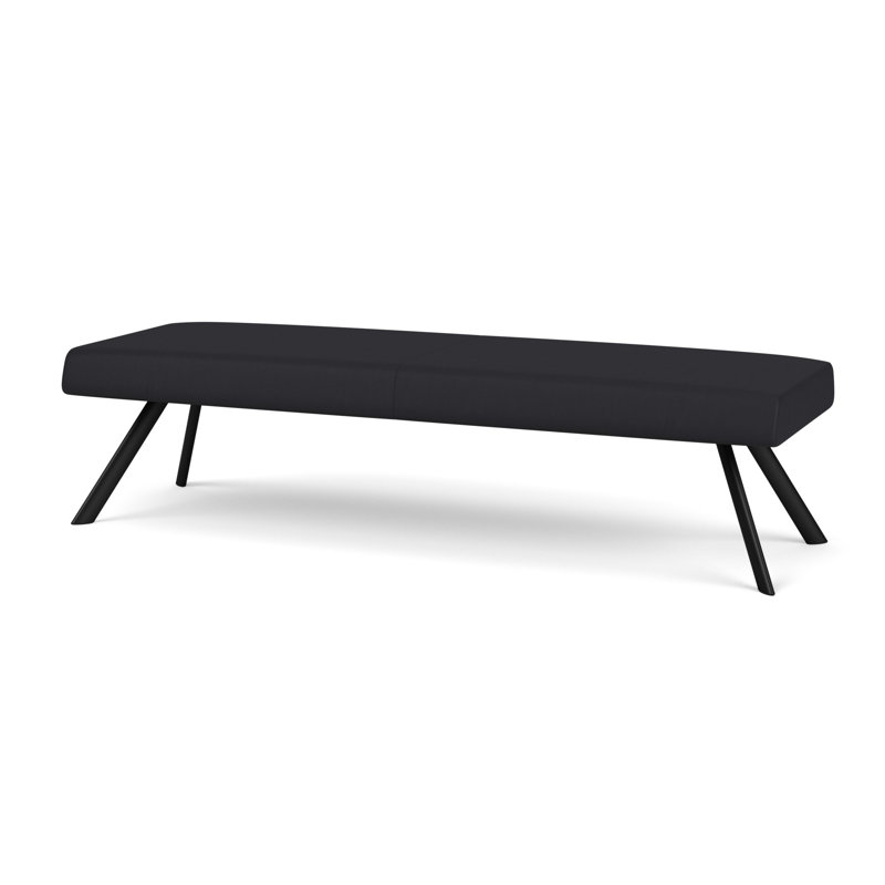 Banc de réception Willow, Noir, Noir Patriot Plus - nettoyez le vinyle avec un lin