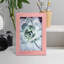 Pastel Succulent Beauty IV, reproduction d'art encadrée-251428981-251428988