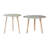 Lucyanne Nesting Tables