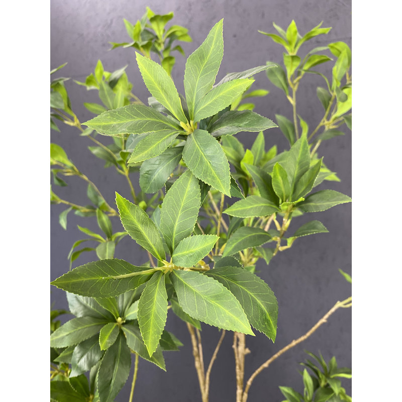 Artificial Japanese Enkianthus Tree Faux, 84" H x 32" W x 32" D