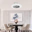 Ceallach Ceiling Fan with Light Kit