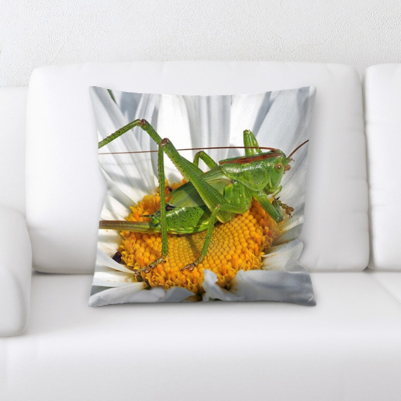 Coussin sauterelle nymphe