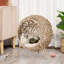 Lit surélevé beige pour chat, tissé pour créer un espace confortable pour les animaux de compagnie