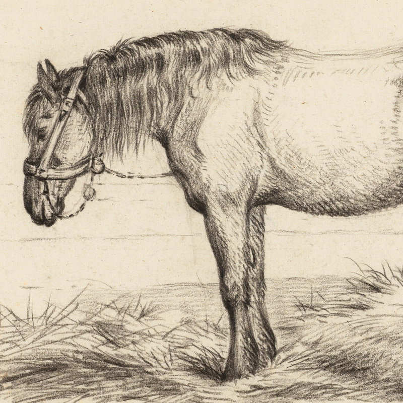 Standing Horse In The Stable To The Left Print by Jean Bernard
