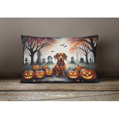 Other/No Pattern Outdoor Throw Pillow
