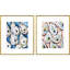 Oyster Shells Framed Art