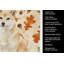 Serviette de cuisine tricolore Sheltie-2083471965