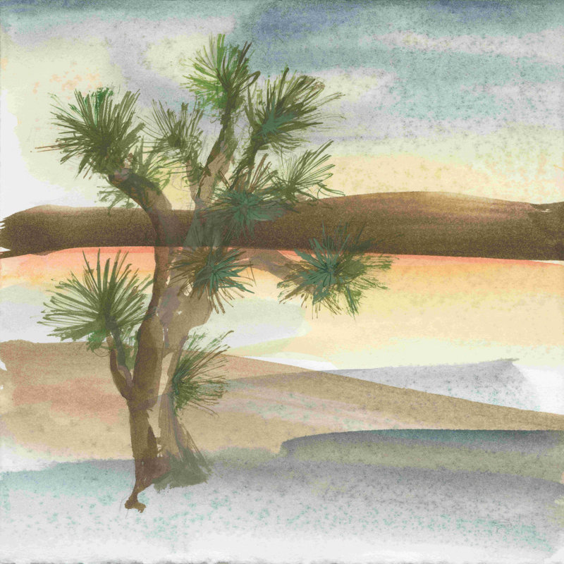 Désert Joshua Tree, H 12 po x l 12 po