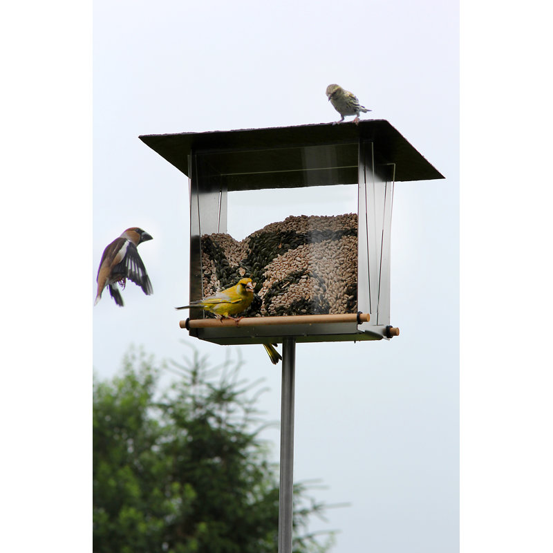 Normanhurst Freistehend Vogelfutterstation