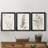 " Neutral Botanical Study IV " 3 - Pieces-1985761735-1985761733
