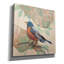 «Songbird Robin» par Sue Schlabach, art mural sur toile-677686180