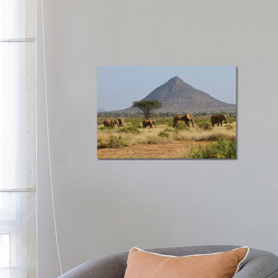 Elephant Herd In Samburu Np by Elmar Weiss - Wrapped Canvas Print